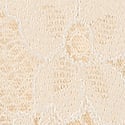 Dantelli Brazilian Külot